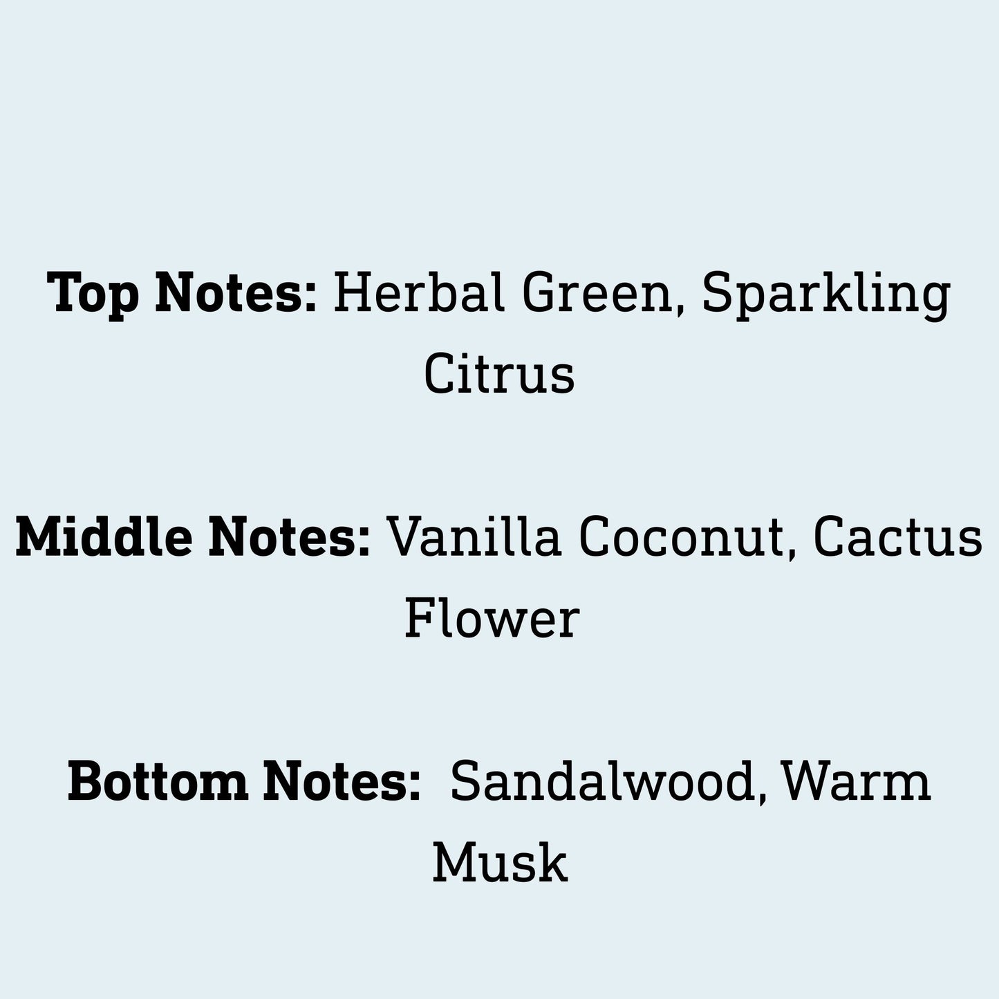 Cactus and Sea Salt Soap